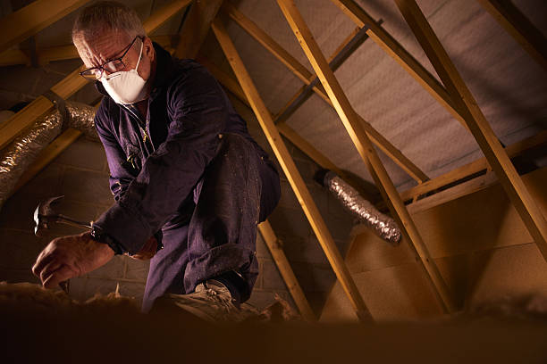Best Types of Insulation in Monticello, LA