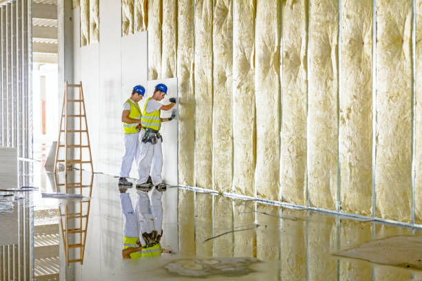 Best Insulation Maintenance and Repair in Monticello, LA